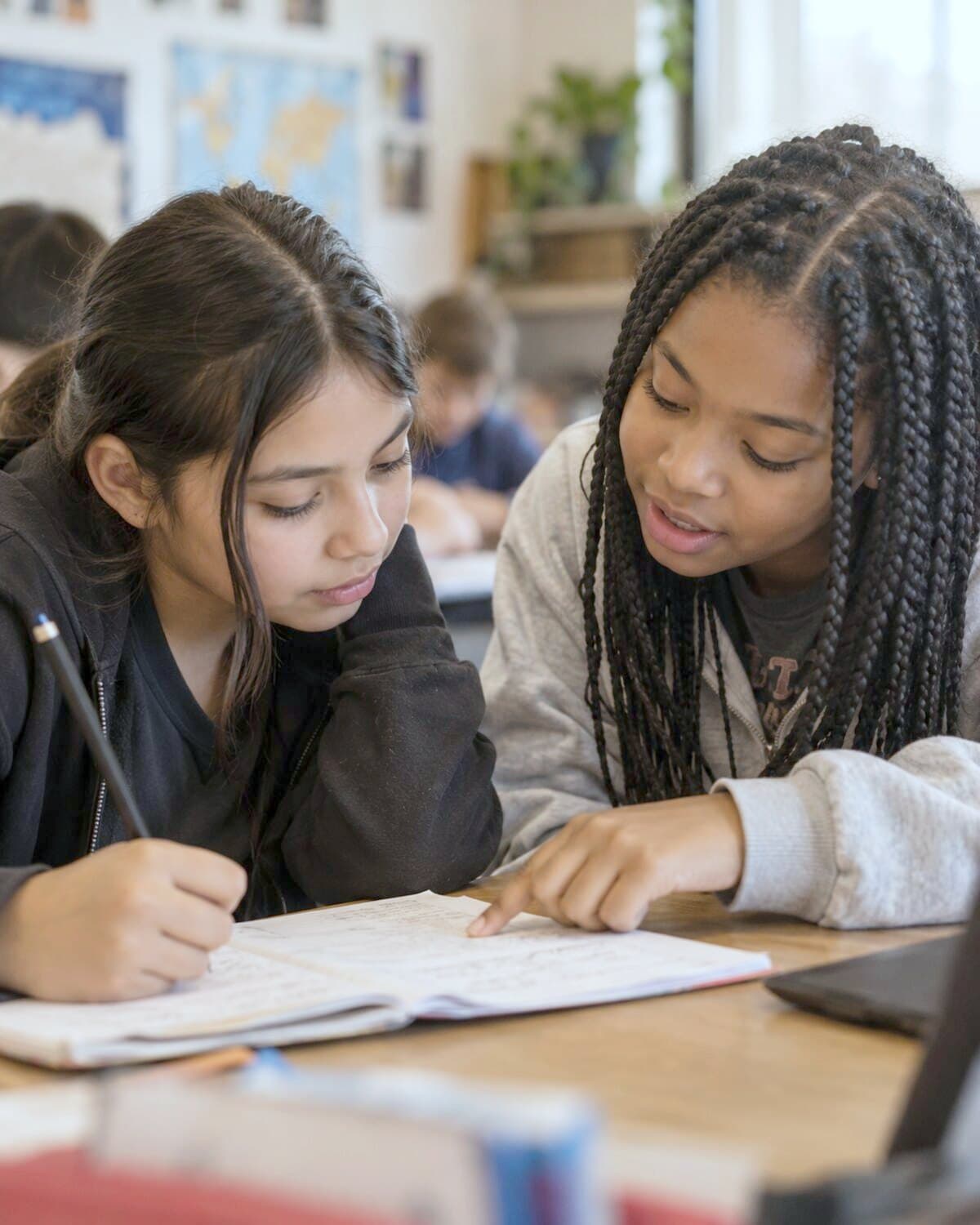 A tutor beside a student, mid explanation
